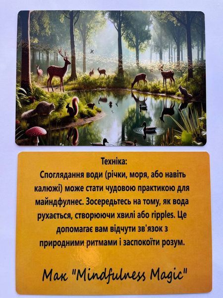 Метафоричні карти "Mindfulness Magic". Ващук Наталія 61 фото